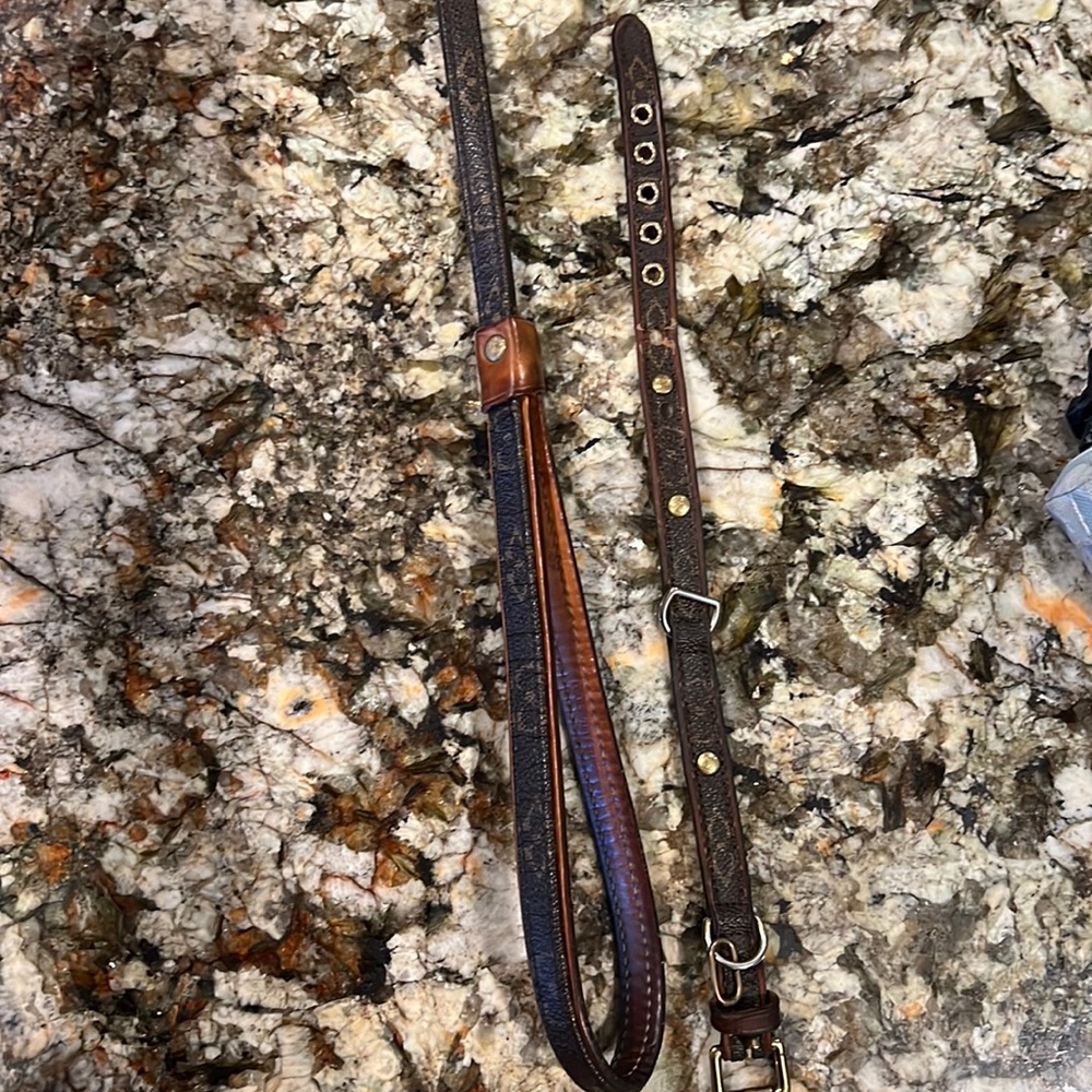 Louis Vuitton collar and leash